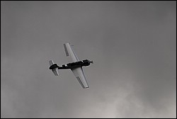 DSC_1301.JPG