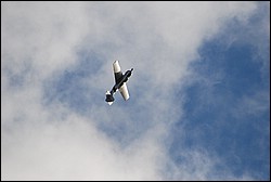 DSC_1318.JPG