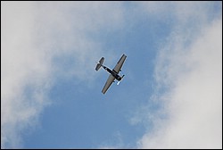 DSC_1320.JPG