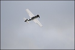 DSC_1341.JPG