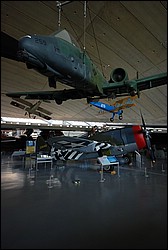 DSC_1406.JPG