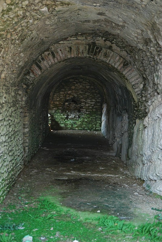 DSC_2769.JPG