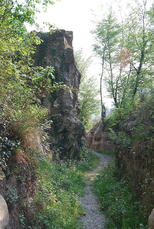 DSC_3312.JPG