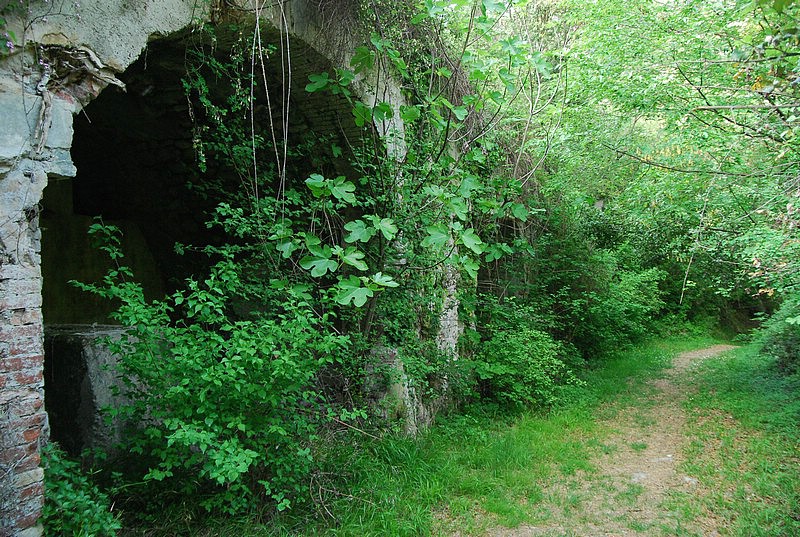 DSC_3322.JPG