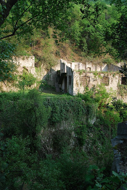 DSC_3331.JPG