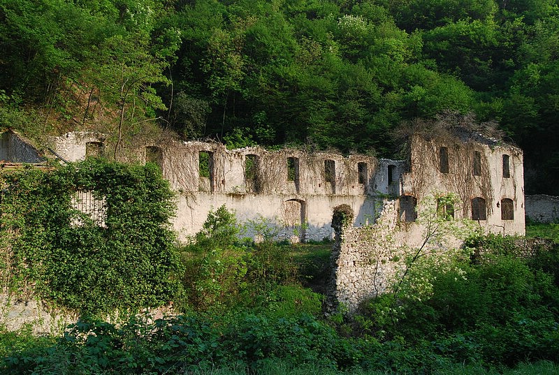 DSC_3332.JPG