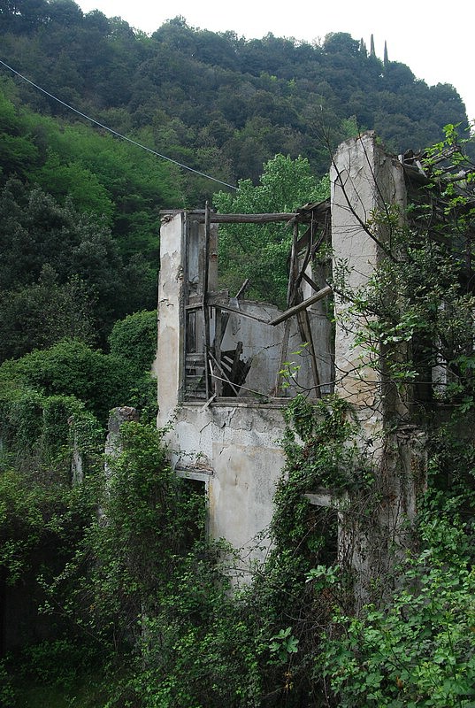 DSC_3341.JPG