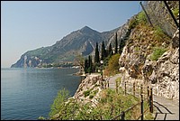 DSC_2481D.JPG
