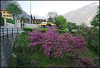 DSC_2720.JPG