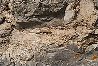 DSC_2731.JPG
