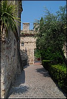 DSC_2758.JPG