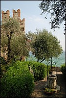 DSC_2760.JPG