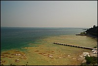 DSC_2770.JPG