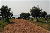 DSC_2777.JPG