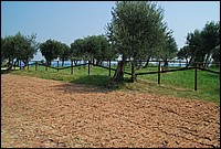 DSC_2779.JPG