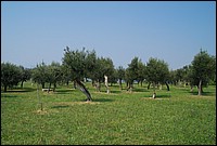 DSC_2780.JPG
