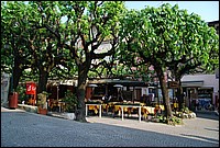 DSC_2900.JPG