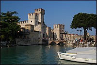 DSC_2906.JPG
