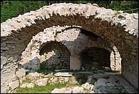 DSC_3310.JPG