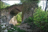 DSC_3311.JPG