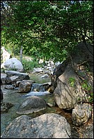 DSC_3316.JPG