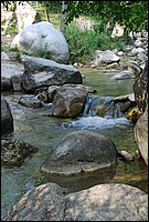 DSC_3317.JPG