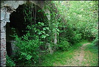 DSC_3322.JPG