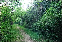 DSC_3323.JPG
