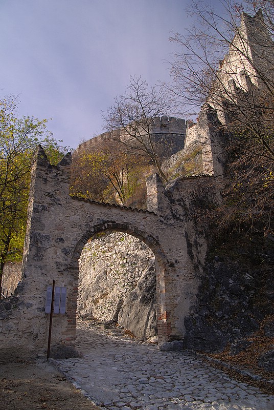 DSC_7537E.jpg