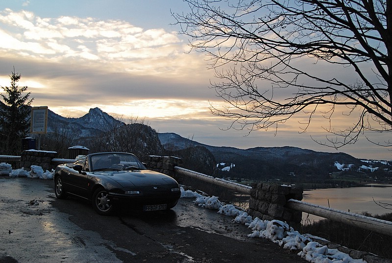 DSC_7795E.jpg