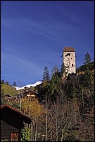 DSC_7772CE.jpg