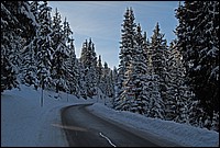 DSC_7791E.jpg