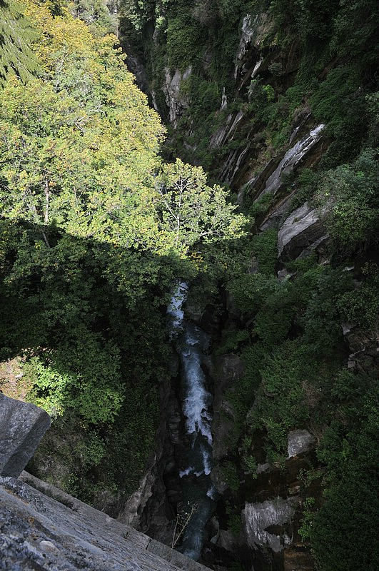 DSC_3694.JPG