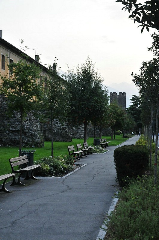 DSC_3809.JPG