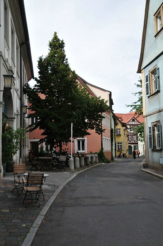 DSC_3289.JPG