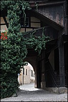 DSC_3425.JPG