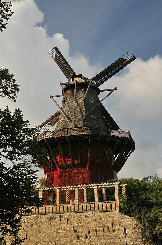 DSC_4786.JPG