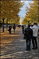DSC_4302.JPG