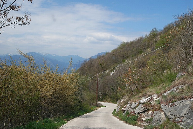 DSC_8889.JPG