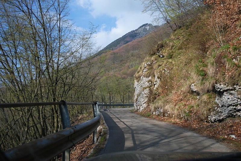 DSC_8946.JPG