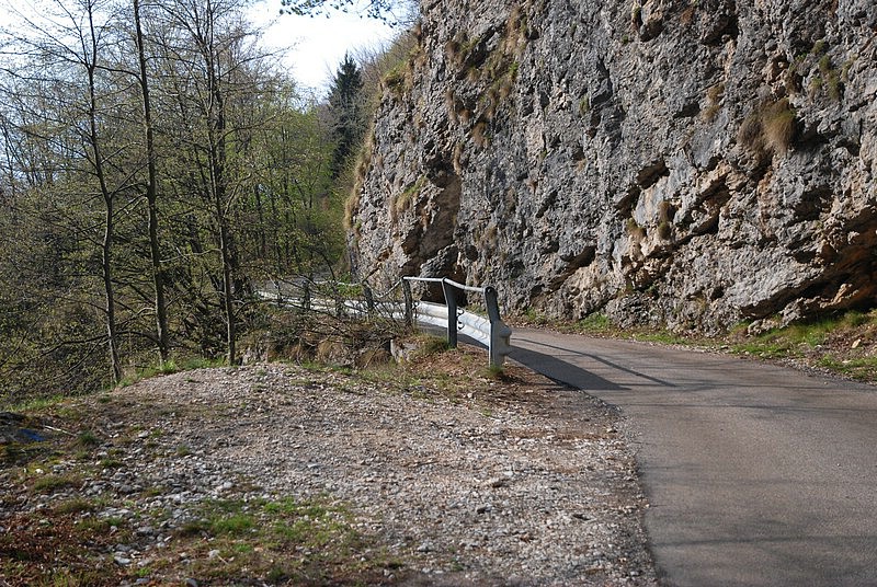 DSC_8953.JPG