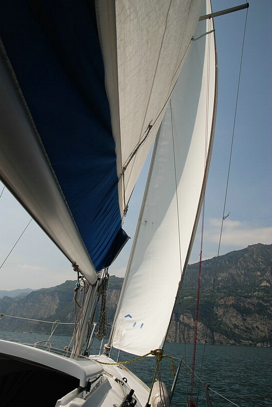 DSC_8958.JPG