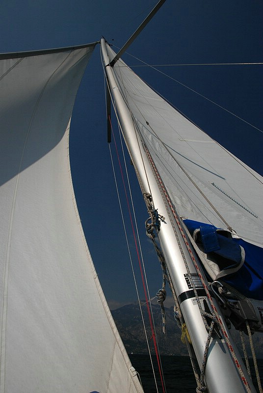 DSC_9029.JPG