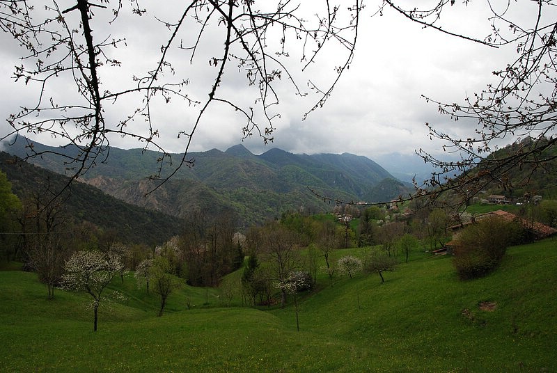 DSC_9101.JPG
