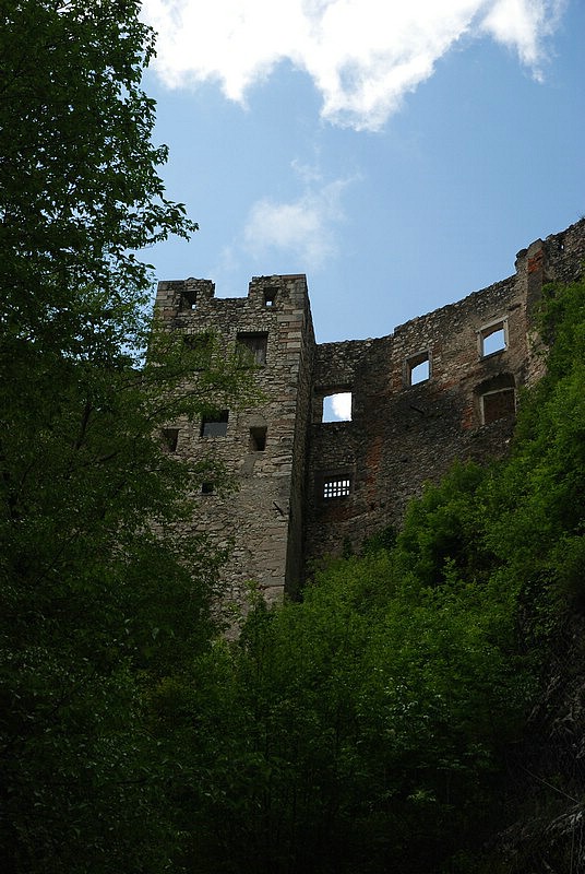 DSC_9431.JPG