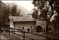 CSC_9389.JPG
