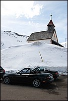 DSC_8811.JPG