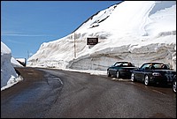 DSC_8828.JPG
