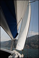 DSC_8958.JPG