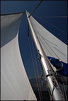 DSC_9029.JPG